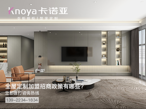 东莞全屋定制加盟哪个品牌好 东莞全屋定制加盟哪个品牌好