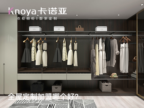 2023年辽宁全屋定制加盟选什么品牌好? 2023年辽宁全屋定制加盟选什么品牌好?